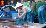 Chợ cá Yên Sở nhộn nhịp ngày ông Công ông Táo